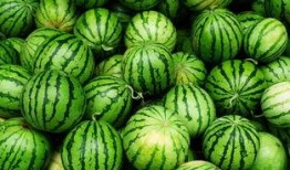 南充网红吃瓜事件真相