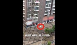 莆田一小区爆料事件视频,业主维权与争议焦点聚焦